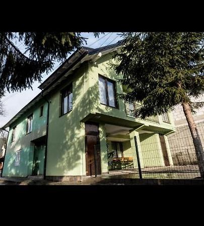 ホテル Casa Alma Borşa エクステリア 写真