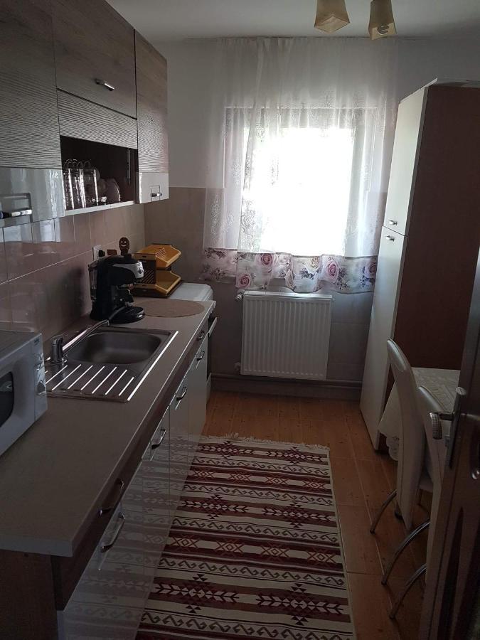 ホテル Casa Alma Borşa エクステリア 写真