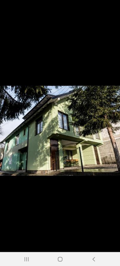 ホテル Casa Alma Borşa エクステリア 写真