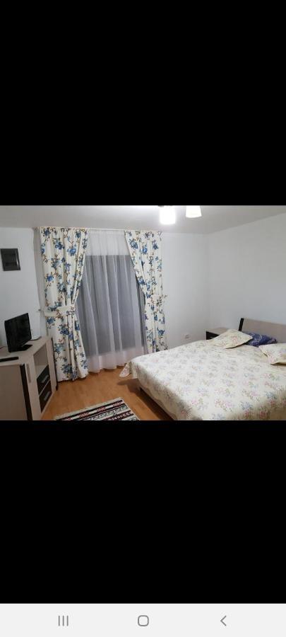 ホテル Casa Alma Borşa エクステリア 写真