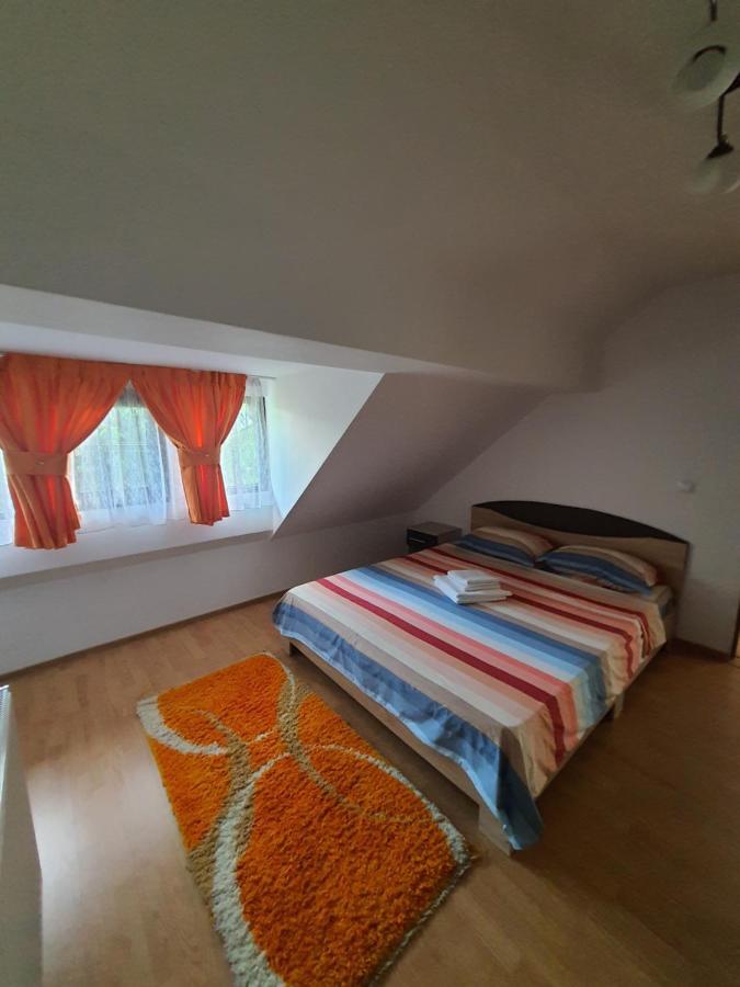 ホテル Casa Alma Borşa エクステリア 写真