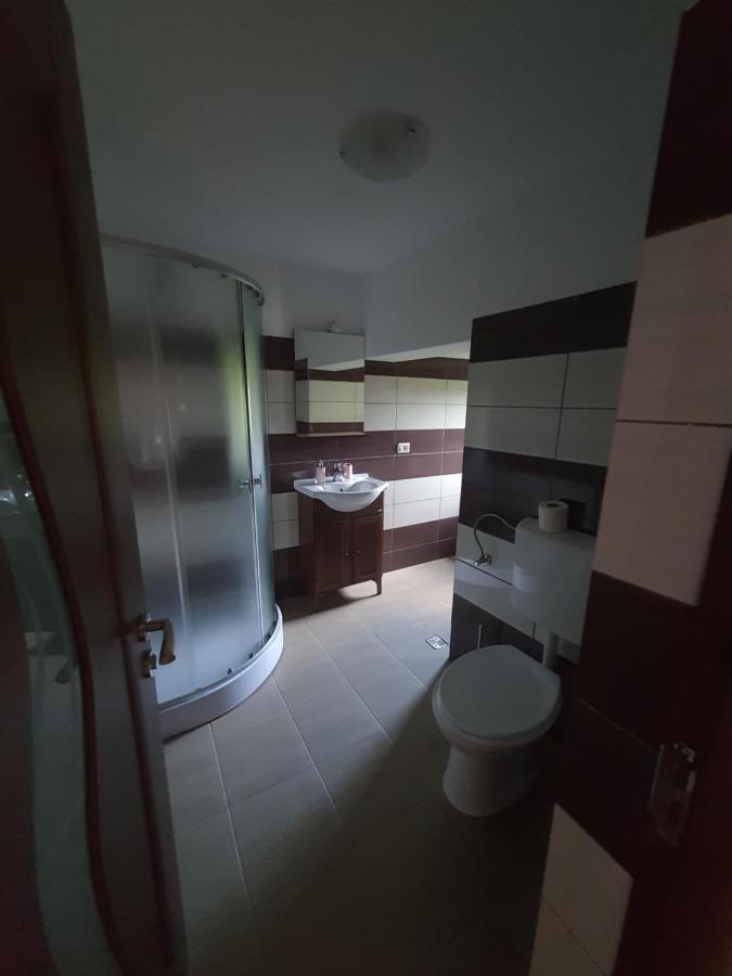 ホテル Casa Alma Borşa エクステリア 写真