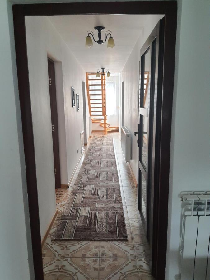 ホテル Casa Alma Borşa エクステリア 写真