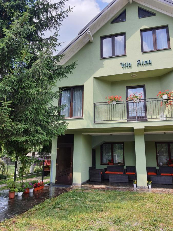 ホテル Casa Alma Borşa エクステリア 写真